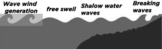 wave swell formation surf