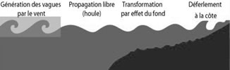 formation vague surf houle