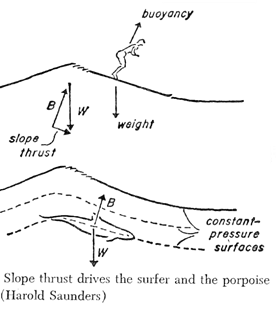 force hydro statique surf
