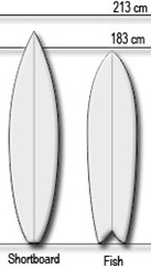 sufboard fish shortboard outline