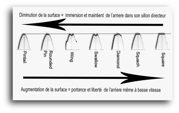 tails shape surf